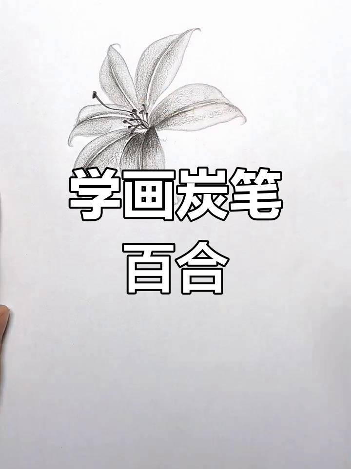 轻松学会炭笔素描百合花,步骤简单又有趣