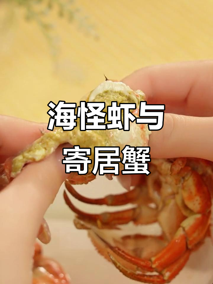 满满蟹黄,鲜美海怪虾与寄居蟹大连特产