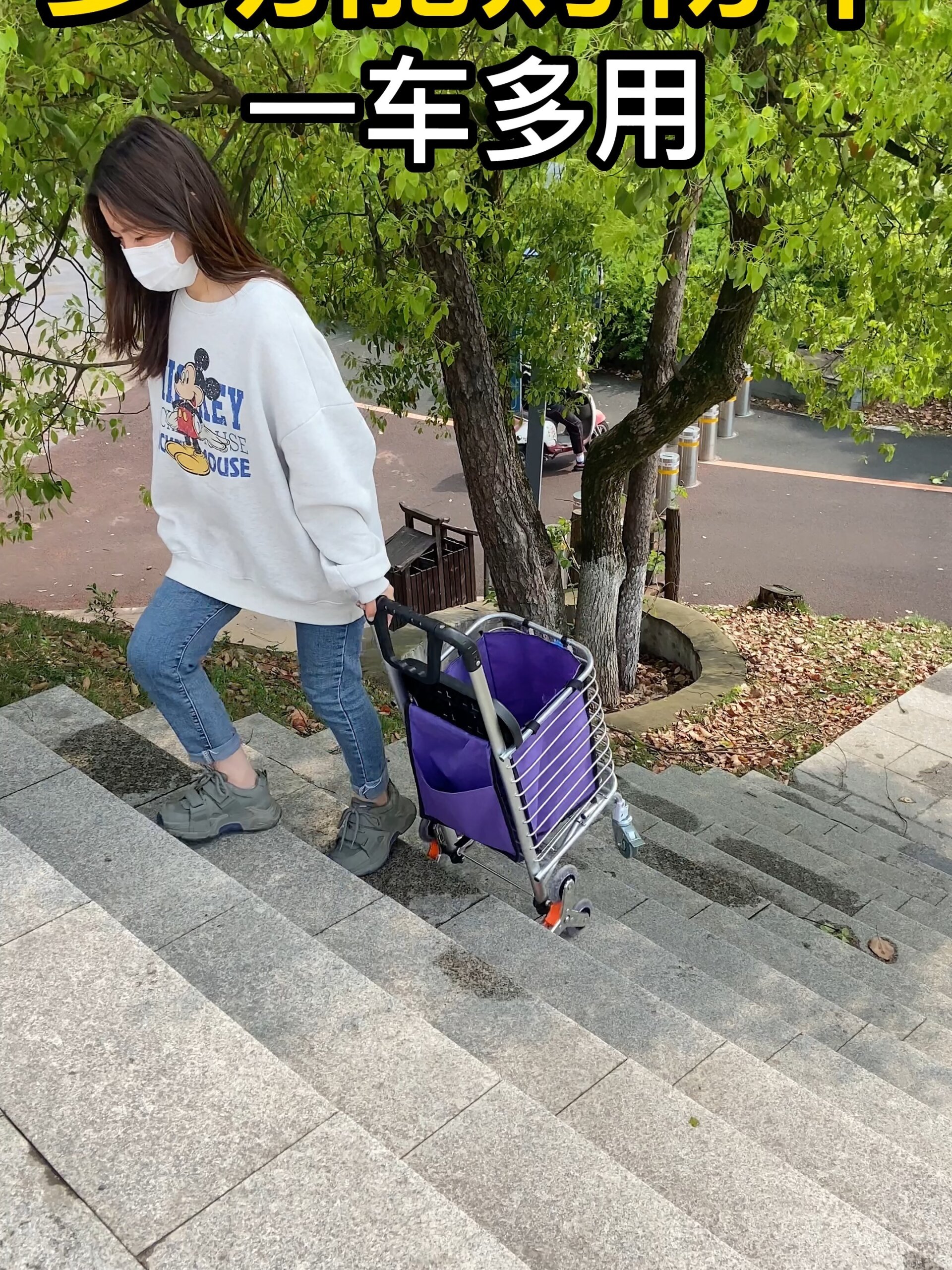 能爬楼的买菜小拉车你见过吗?