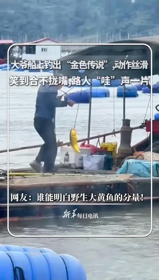 大爷船上钓出 “金色传说”,动作丝滑,笑到合不拢嘴,路人“哇”声一片,网友:谁能明白野生大