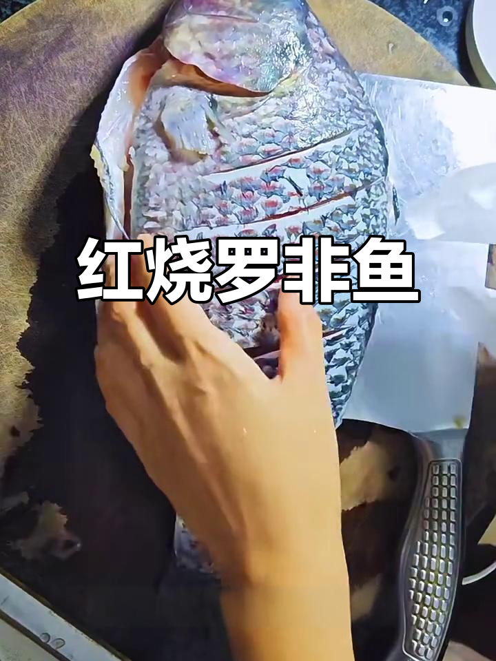 罗非鱼家常红烧做法,简单又美味