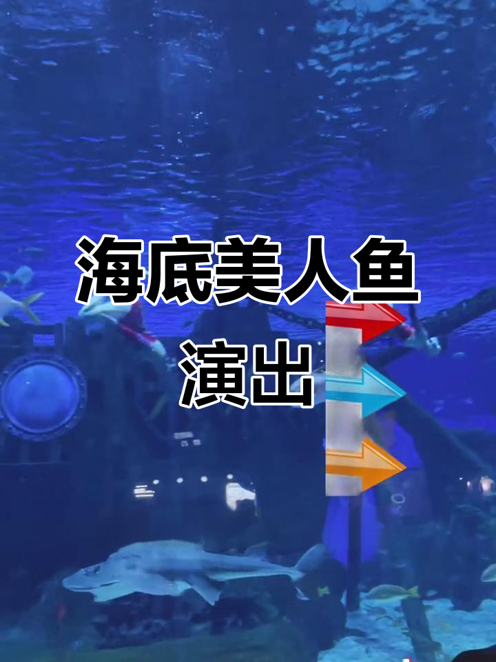 济南融创乐园海底美人鱼表演,灯光璀璨下的梦幻之旅