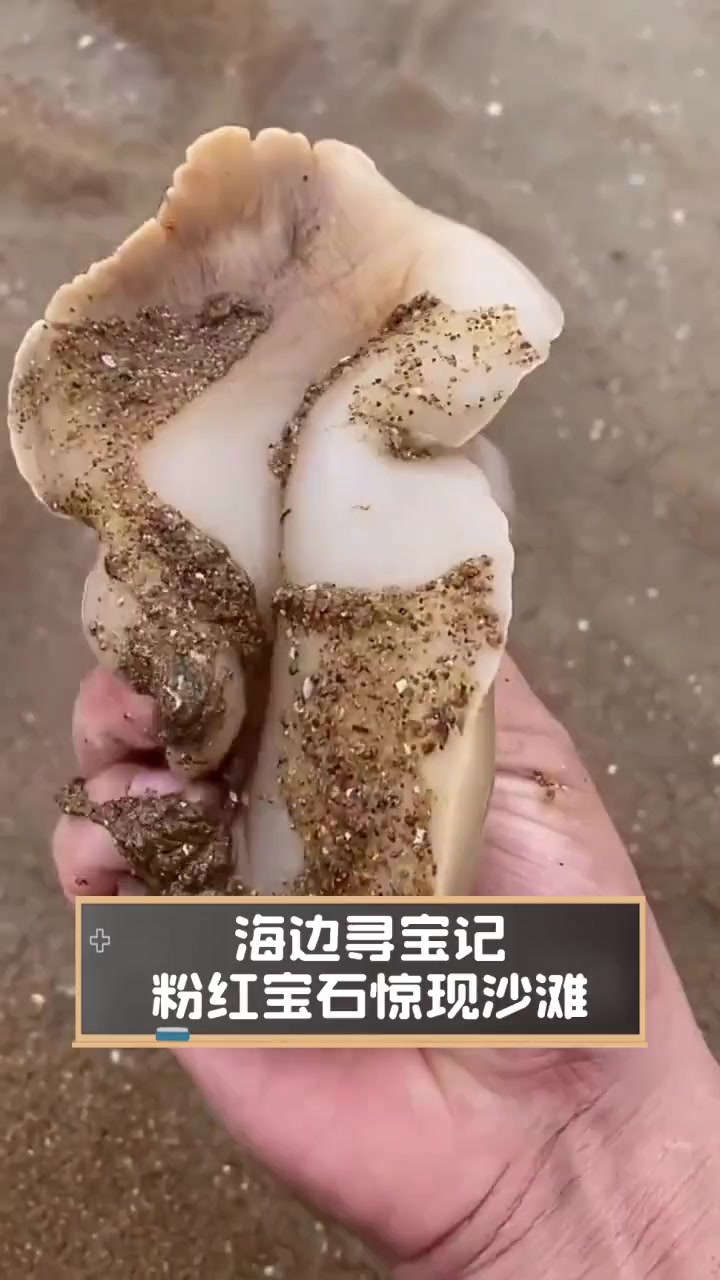 海边寻宝记,粉红宝石惊现沙滩