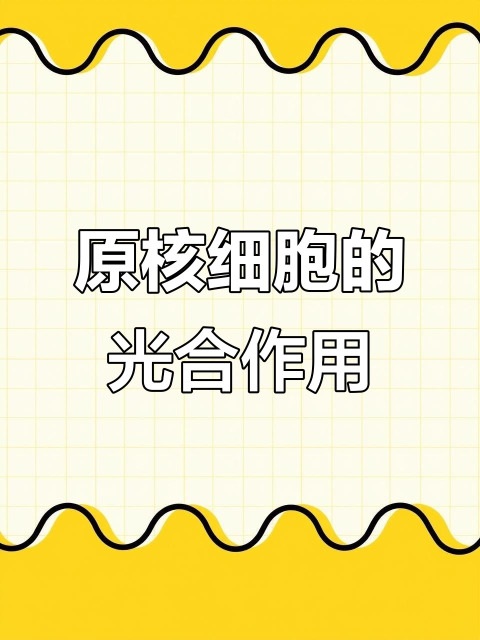 原核生物与光合作用:支原体、蓝细菌的秘密