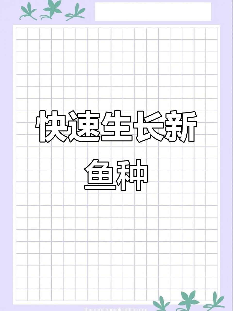新品种土塘虱,生长迅速,适应性强,养殖轻松