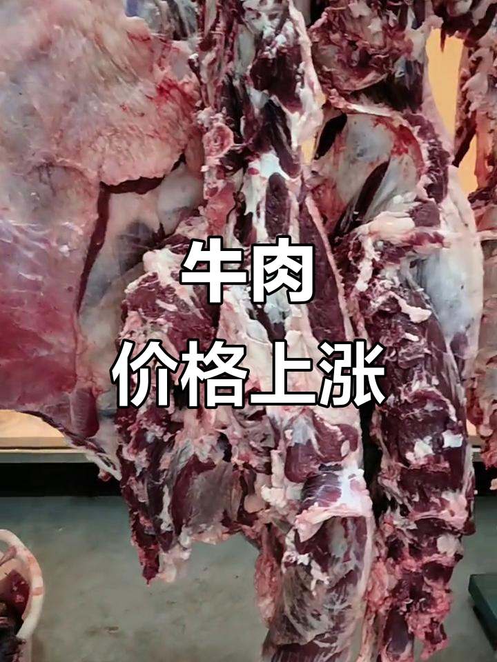 牛肉价格飙升,黄牛肉每斤33元,请谅解!
