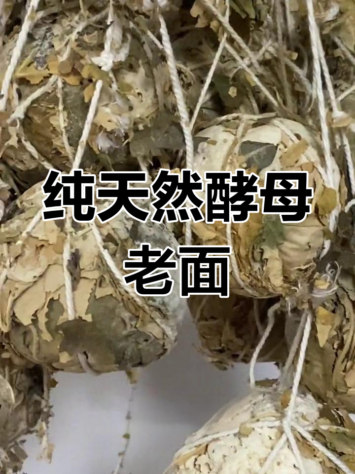 天然酵母孕育百日老面,传统工艺打造健康馒头