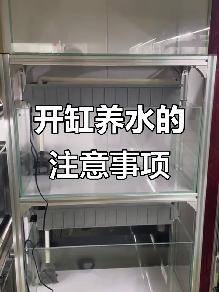 养鱼前必知:如何正确开缸养水,避免常见错误