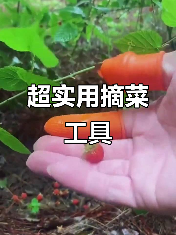 妈妈厨房必备!这款摘菜神器让剥蒜刮皮更轻松