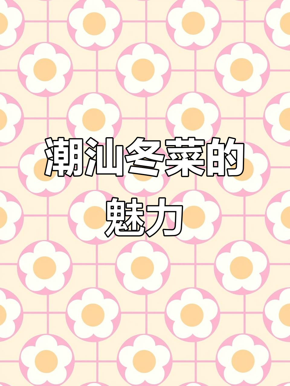 潮汕冬菜大揭秘,口感鲜美又实惠