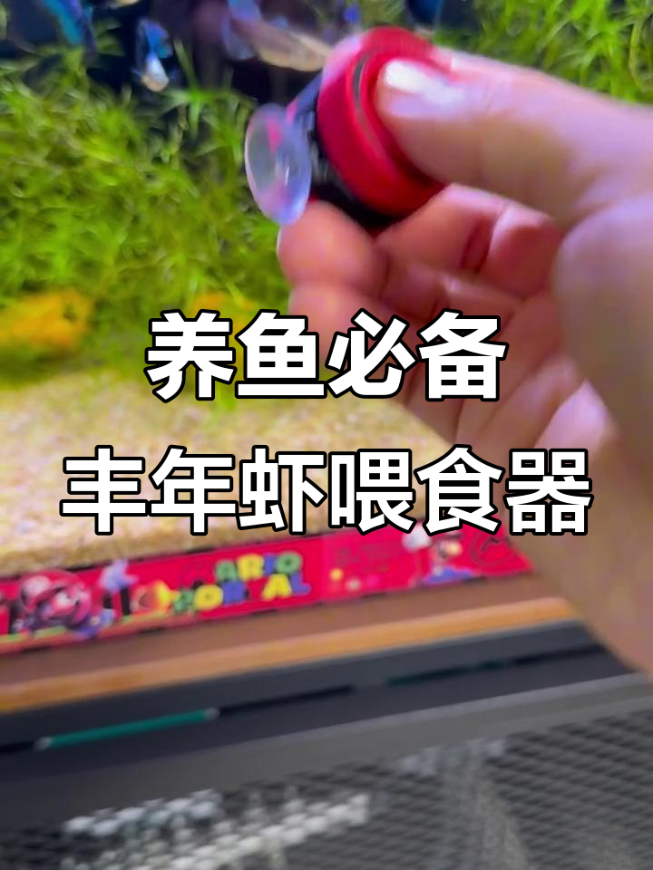 喂食器让养鱼更轻松,丰年虾与饲料都能精准投喂