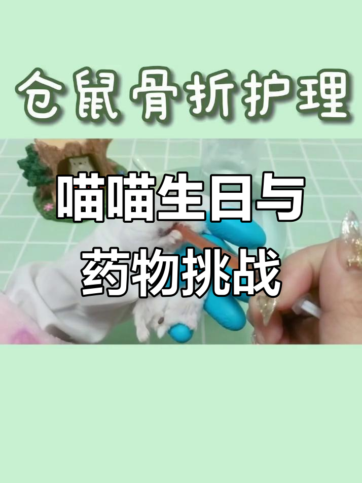 汤圆骨折恢复中,喂药成了大挑战!