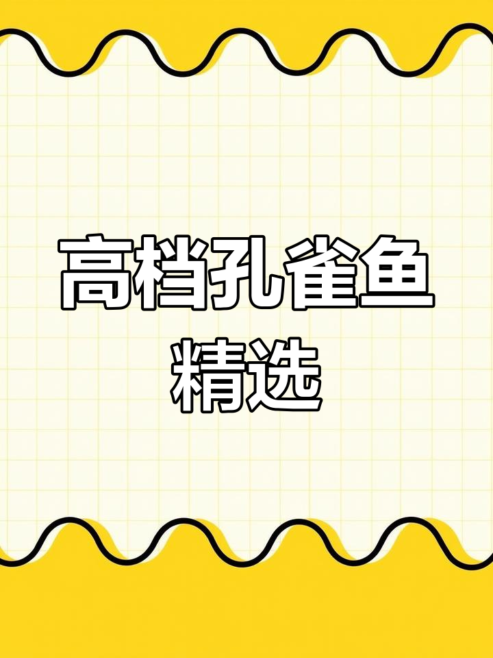 高端孔雀鱼品种大揭秘,稀有珍贵品相一览