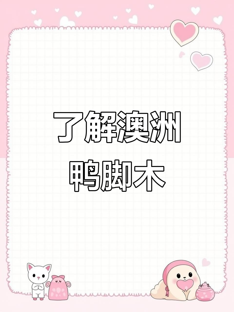 澳洲鸭脚木：常绿乔木，四季开花结果
