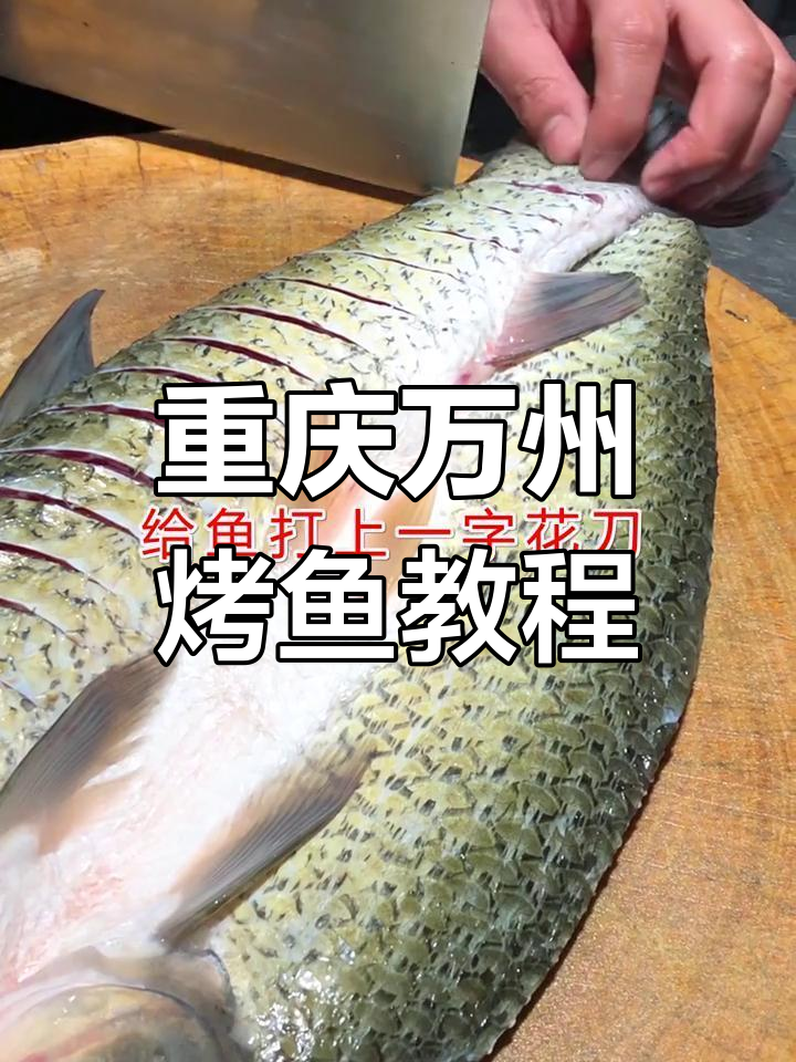 正宗重庆万州烤鱼,家庭开店都能学!