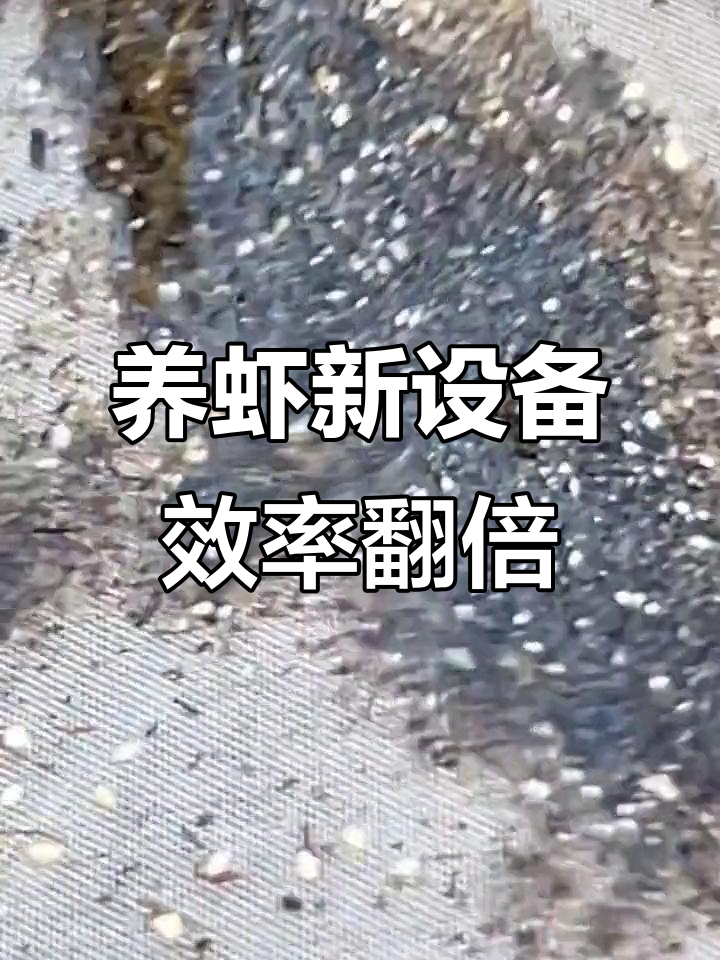 工厂化养虾新突破:分离机让养殖更高效