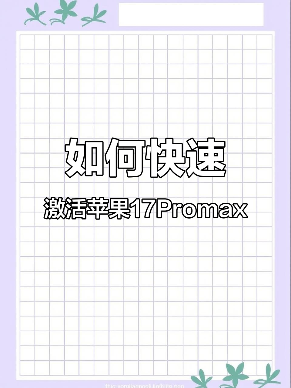 苹果手机激活全流程,轻松设置语言与网络