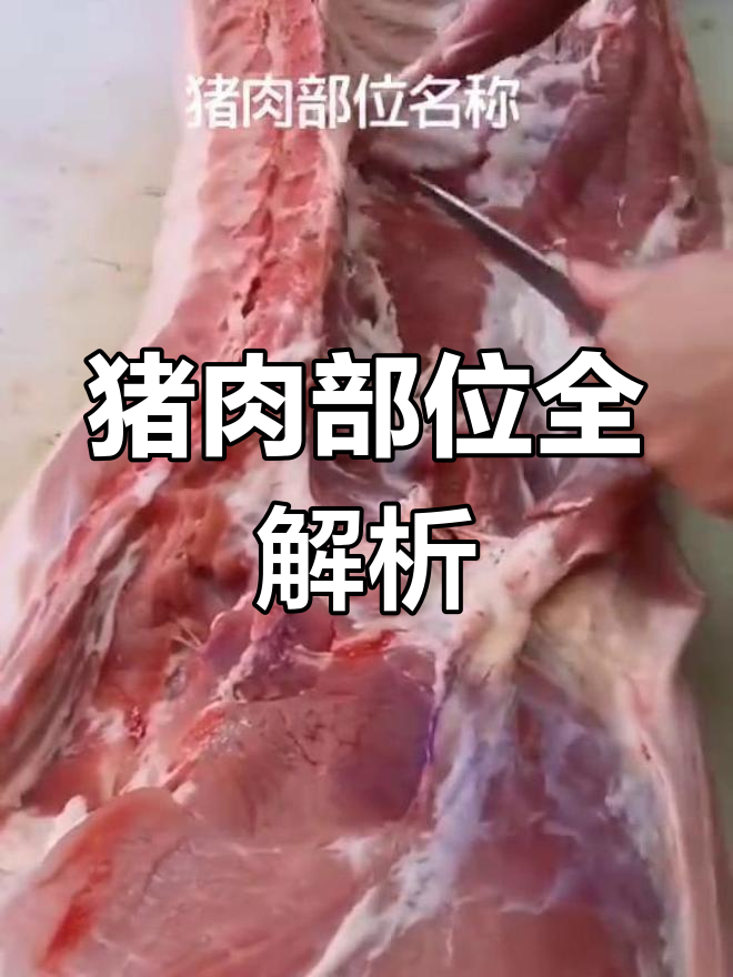 猪肉各部位名称大揭秘,你能认出几个?