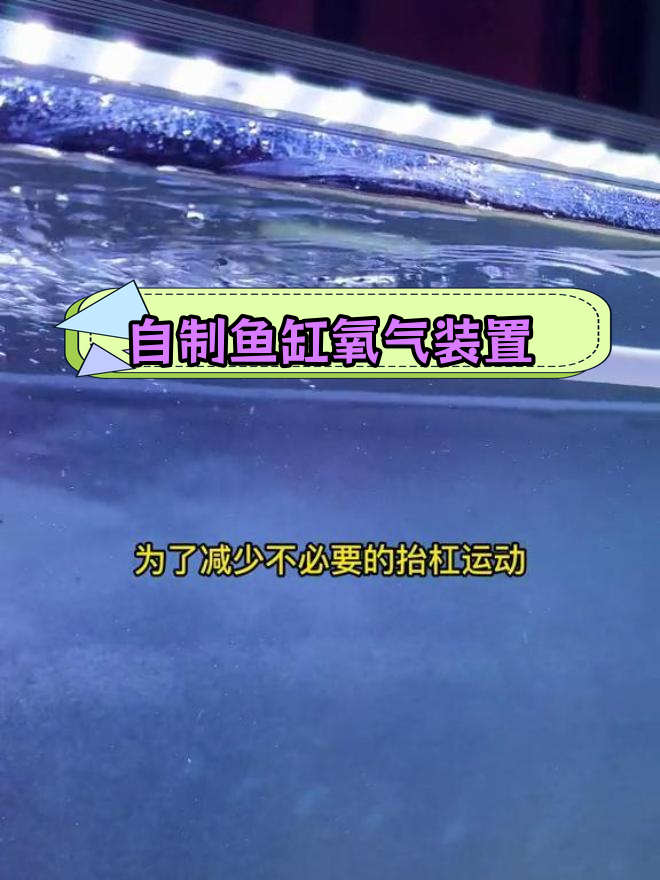 不用气泵也能给鱼缸增氧,轻松DIY制作