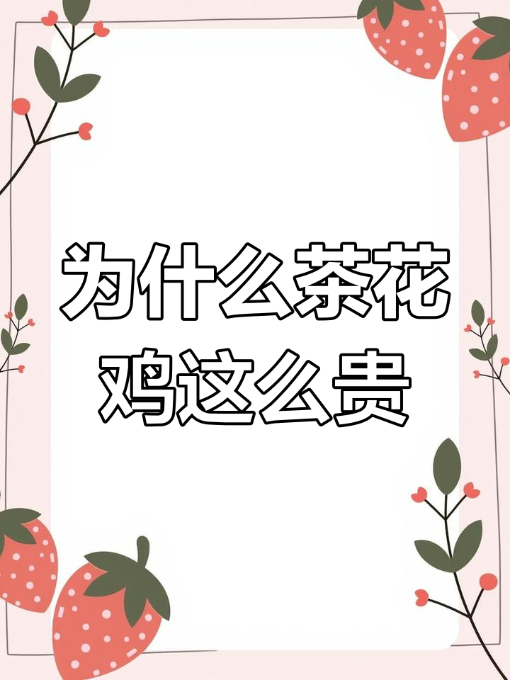 茶花鸡为何价格昂贵?它真的是宠物观赏家禽吗