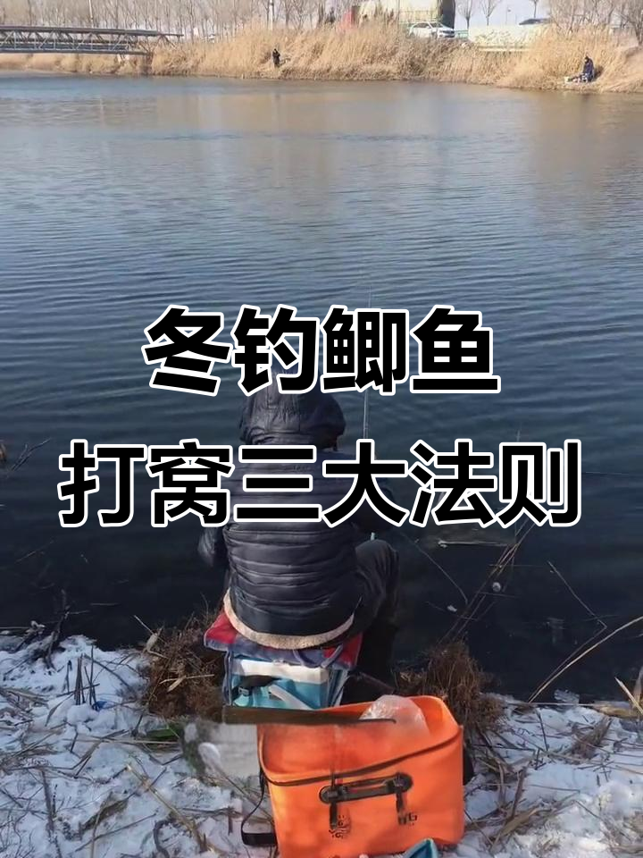 冬季钓鲫鱼打窝技巧:三定律教你精准诱鱼