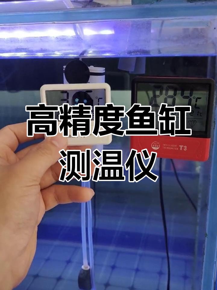 老渔匠高精准鱼缸温度表,实时监测水温变化