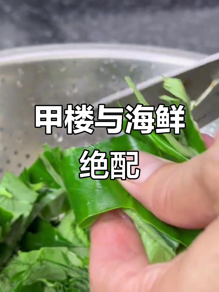 广西炒田螺必备甲楼,香气堪比紫苏