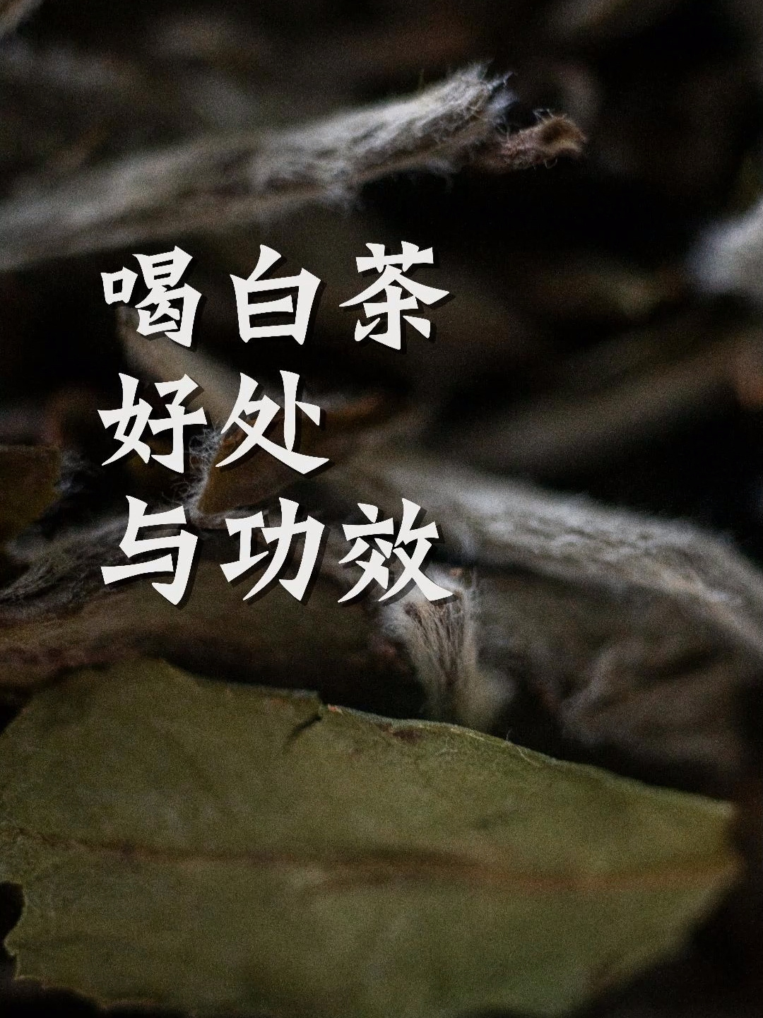 喝白茶的好处与功效