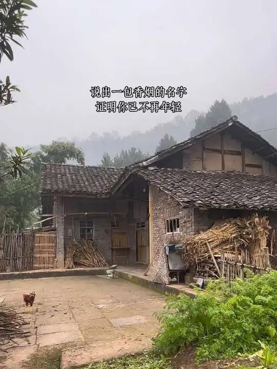 还记得小时候,爸爸让你去买的香烟是什么牌子吗?红塔山、黄果树、红梅,还有哪些……#乡愁记忆