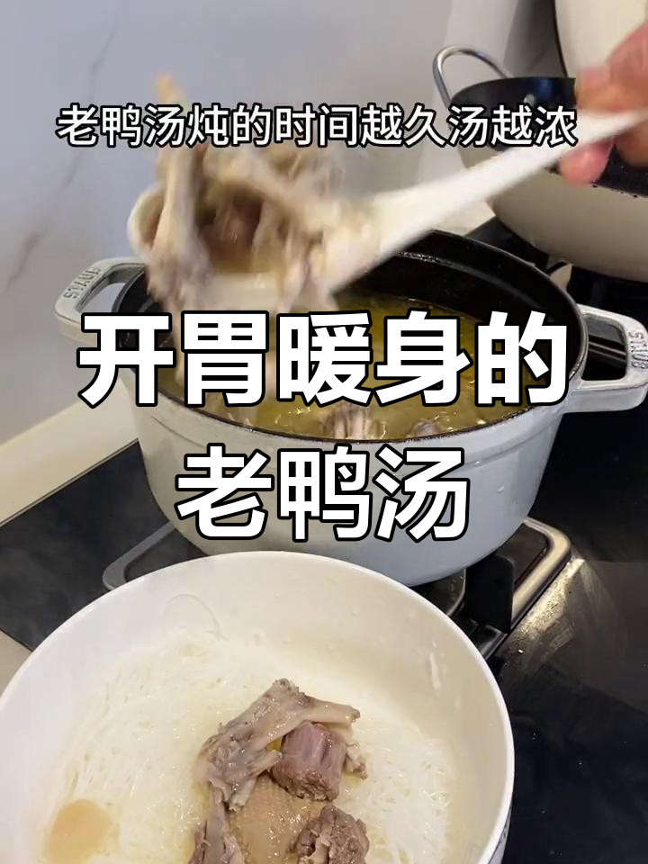 酸萝卜老鸭汤,冬季滋补又开胃