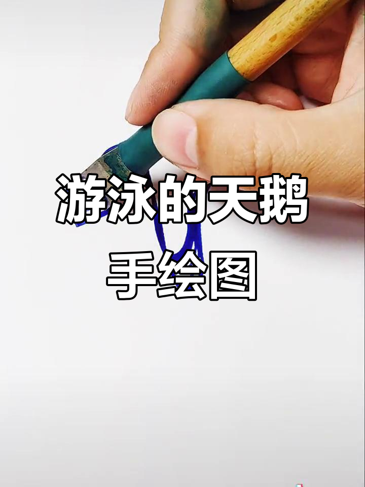 一排天鹅水中游,手绘美景展示