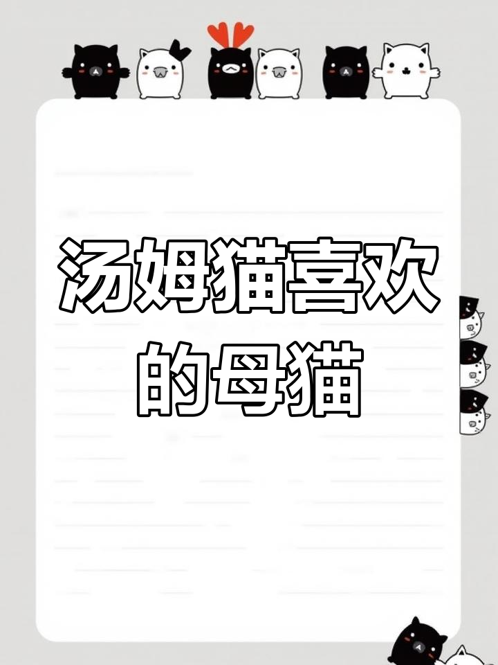 汤姆猫的梦中情猫,竟然是这种品种!