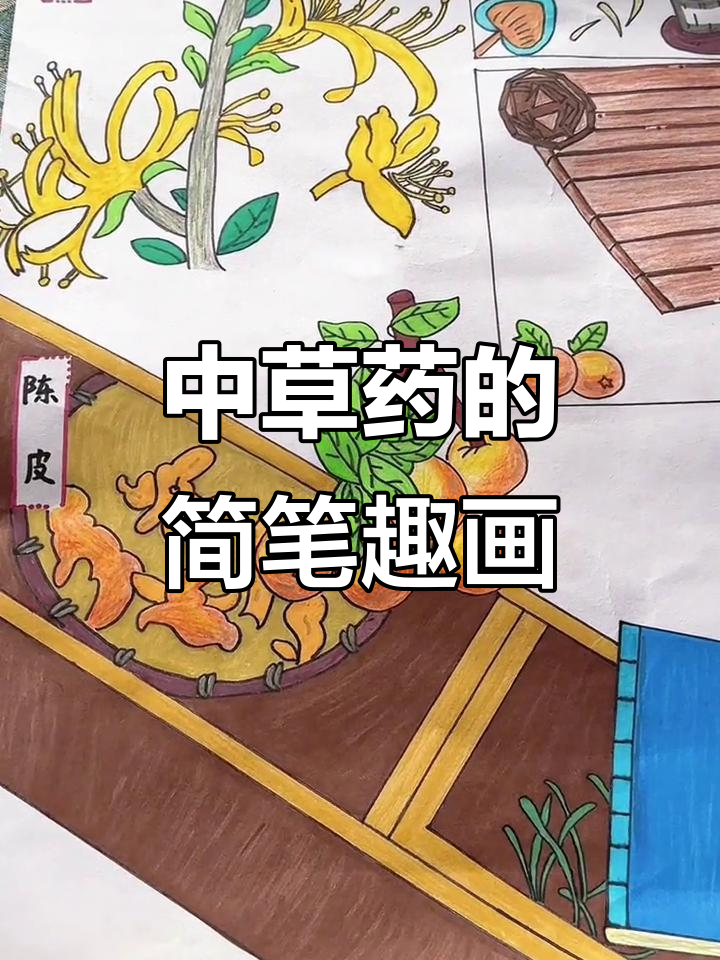 一年级学生用简笔画展示中草药园，创意十足