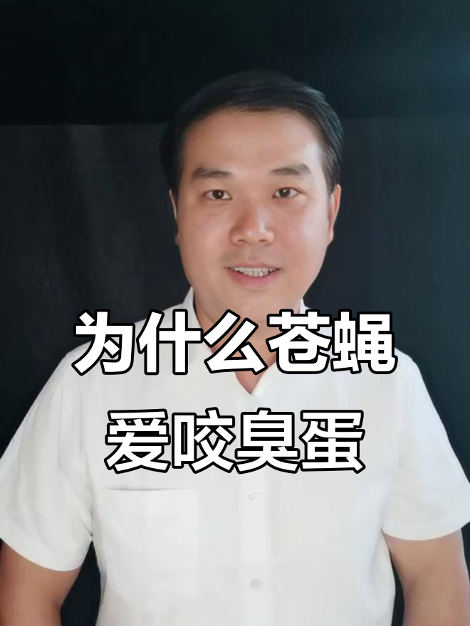 苍蝇为何总叮臭鸡蛋？从道德底线谈起