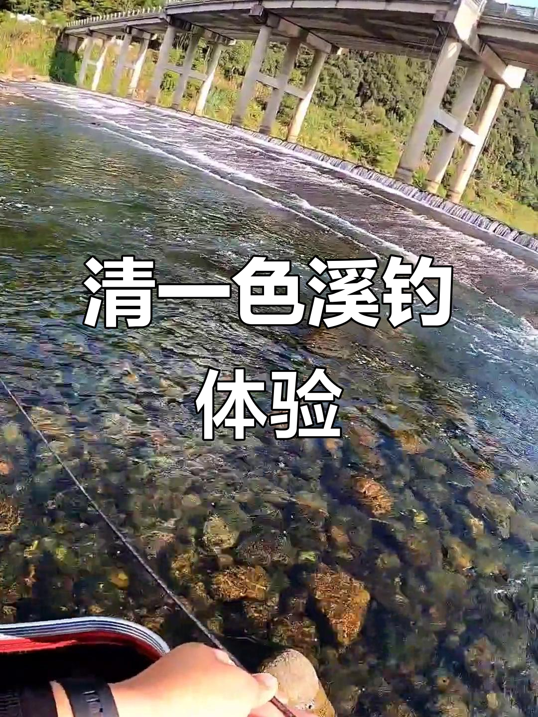 青山颠水库下游钓鱼,溪哥马口一网打尽