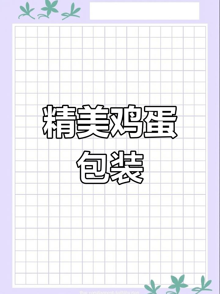 鸡蛋包装设计创意展示