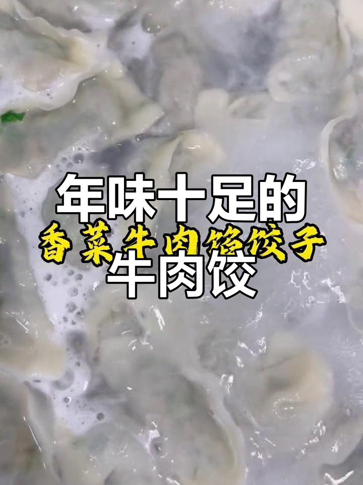 过年必备牛肉馅饺子,香菜加持更美味