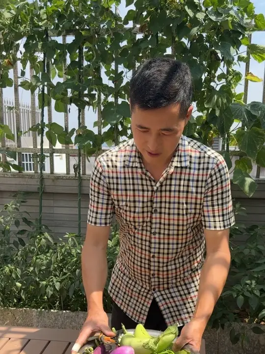 楼顶养鸡自动化，不臭也不怕热！种出有机瓜果蔬菜！实现了小院生态循环！