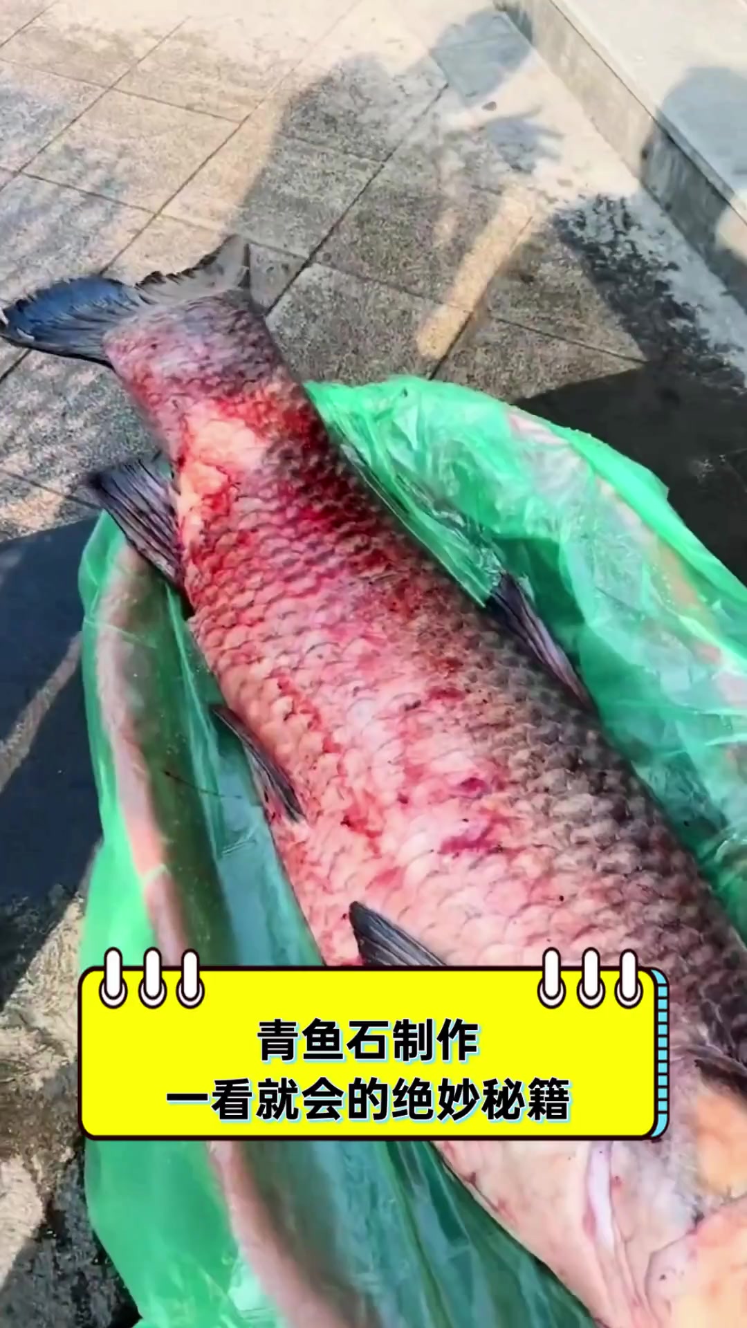 青鱼石制作,一看就会的绝妙秘籍