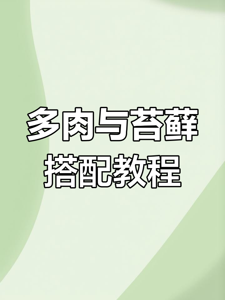 苔藓多肉微景观制作技巧,轻松打造自然生态小盆景