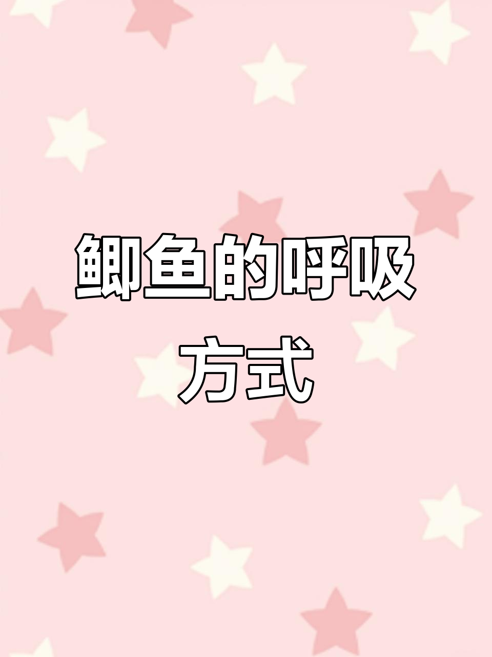 鲫鱼如何用腮呼吸?揭秘水中的秘密