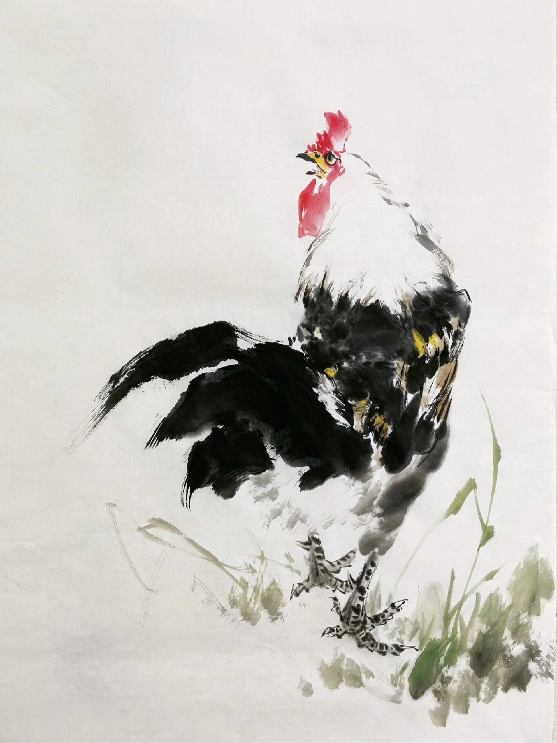 国画水墨写意雄鸡