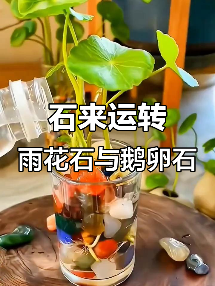 雨花石与鹅卵石的奇妙碰撞,鱼缸里的自然奇观
