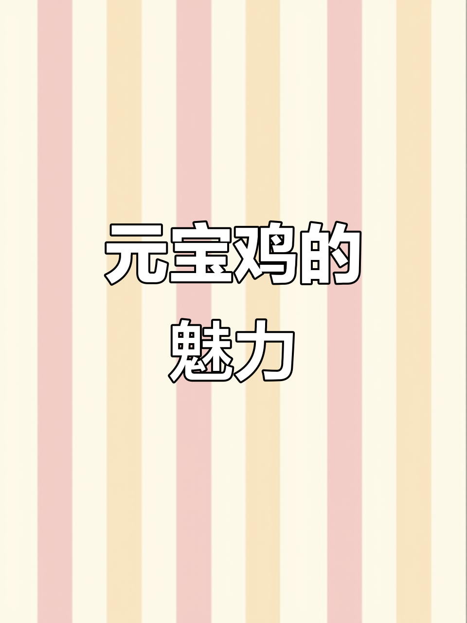 芦花元宝鸡，双冠小巧，独特羽色令人陶醉！