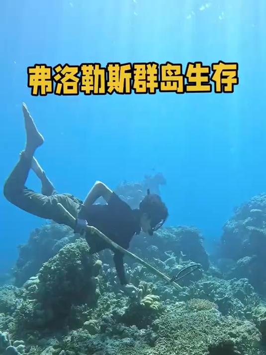 储存大量烟熏鱼后打造海上自动钓鱼平台,没想到中鱼速度竟如此快