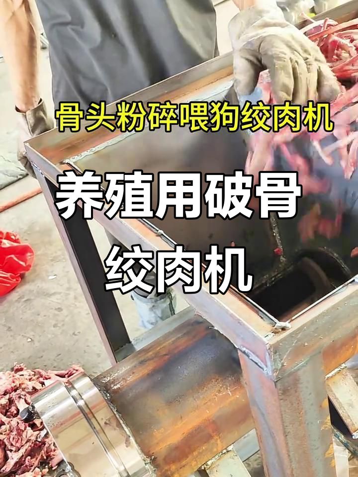 养殖户必备:破骨绞肉机轻松处理猪骨头,喂狗喂鱼更方便