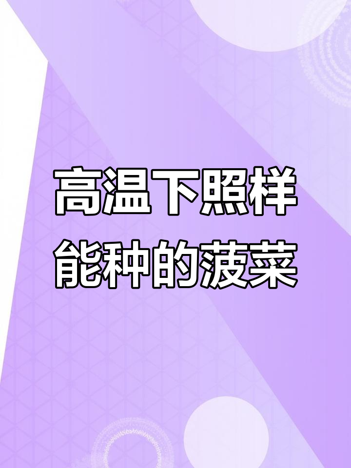 夏季高温也能种!这款耐热菠菜让你无忧无虑