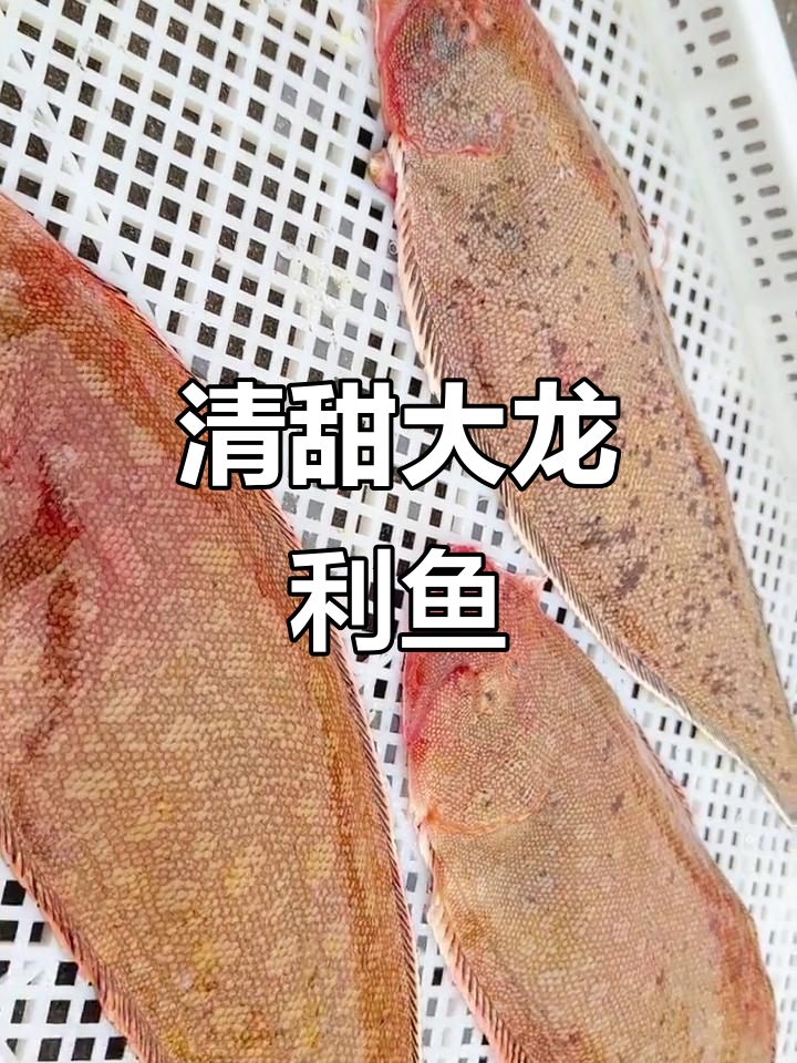 深海美味大龙利鱼,清甜口感让人无法抗拒