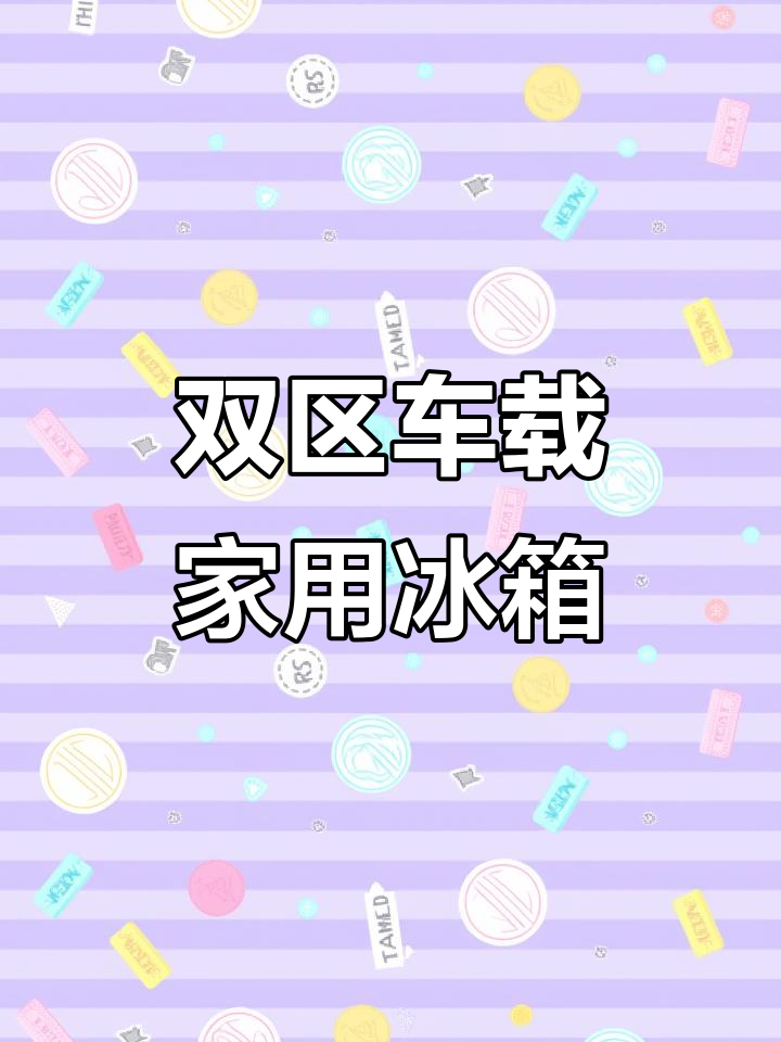 车家两用冰箱,冷冻冷藏双区域设计,夜间照明更方便