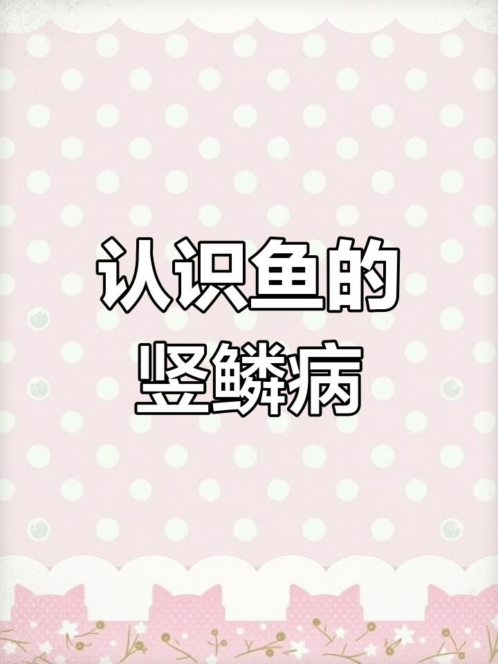 鲤鲫鱼竖鳞病症状与防治方法